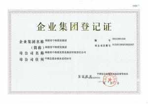 中海聯發(fā)集團企業集團登記證